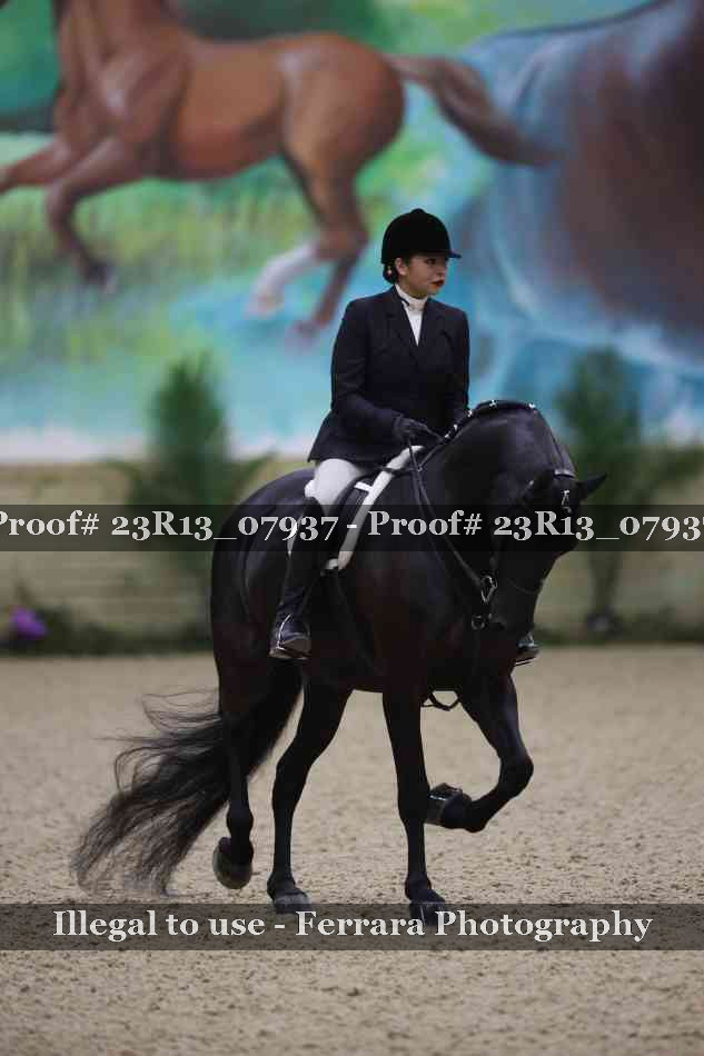 Proof 23R13_07937