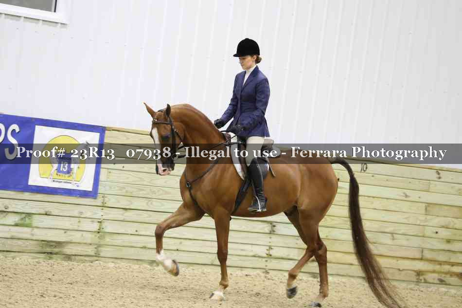 Proof 23R13_07938