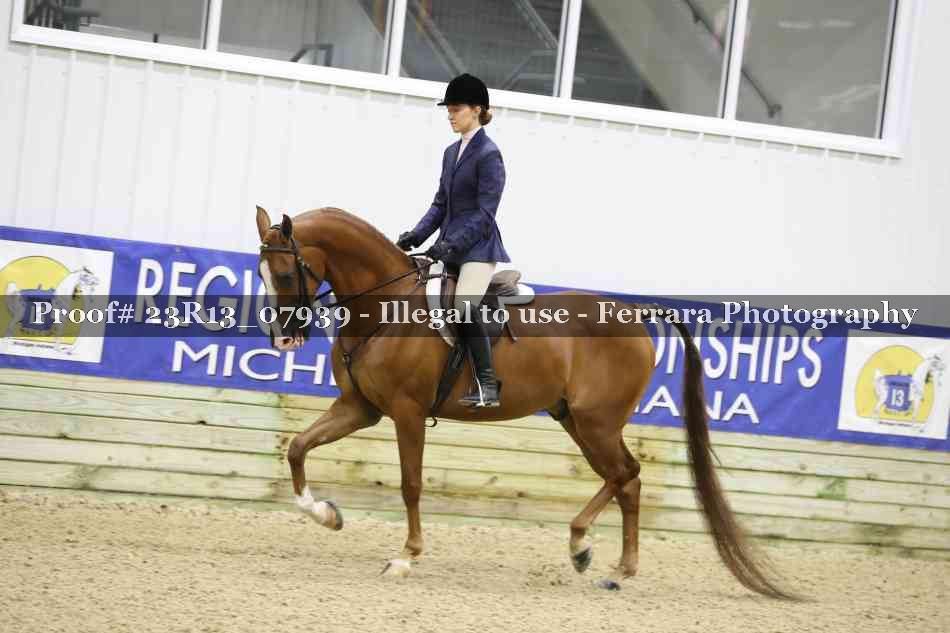 Proof 23R13_07939