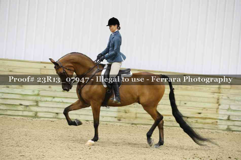 Proof 23R13_07947