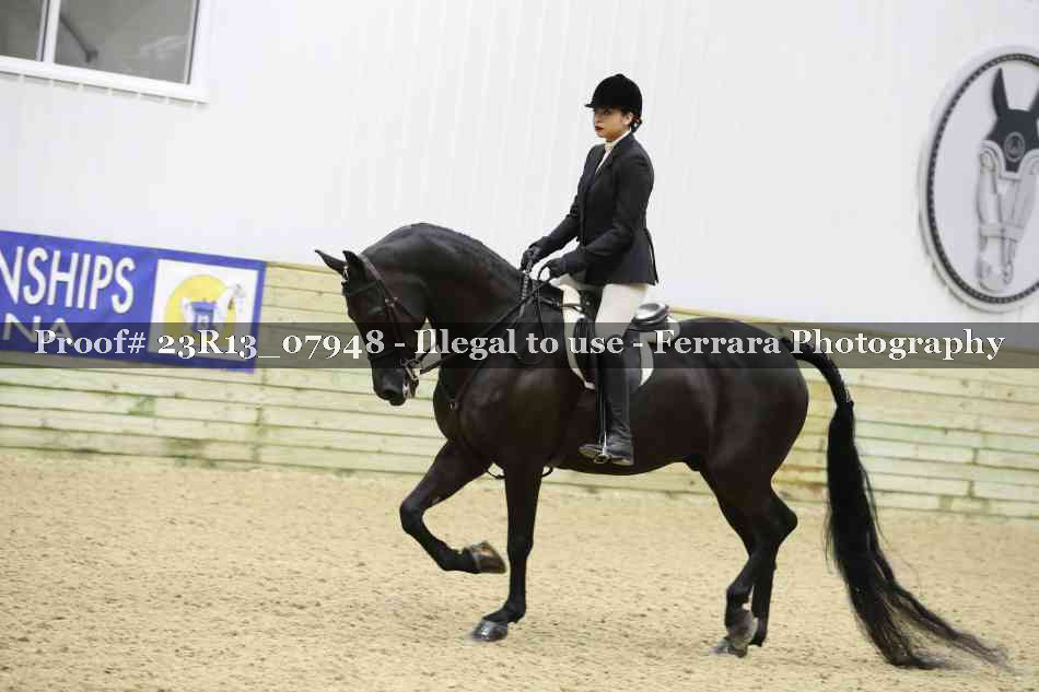 Proof 23R13_07948