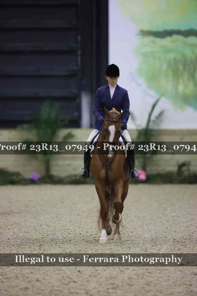 Proof 23R13_07949