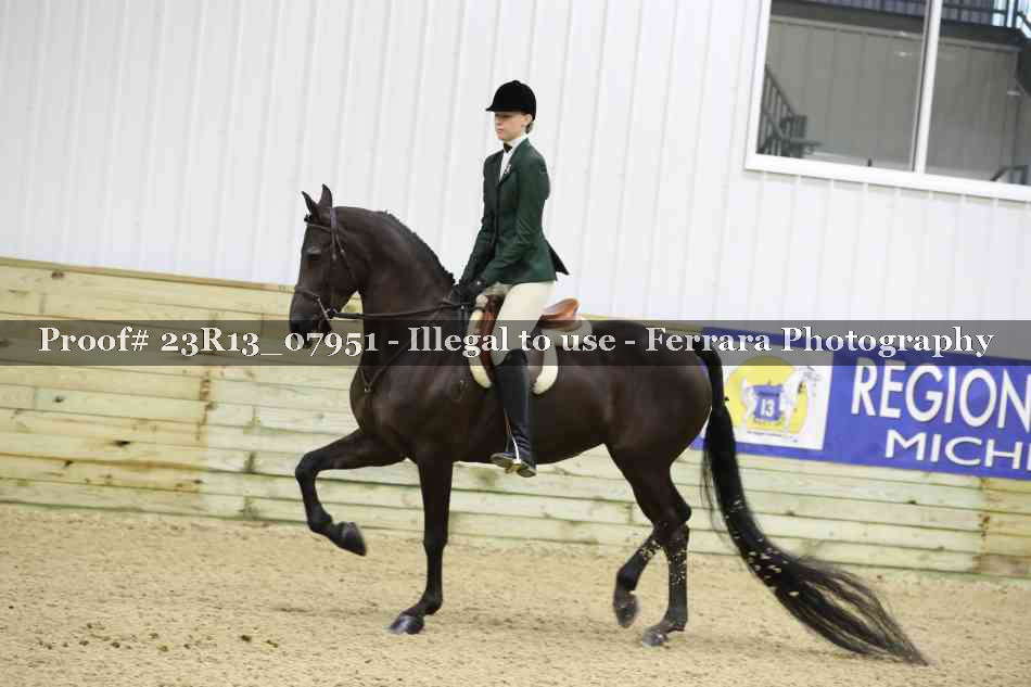Proof 23R13_07951
