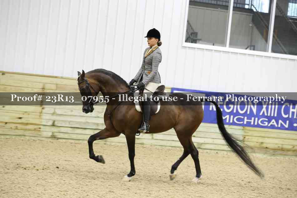 Proof 23R13_07955