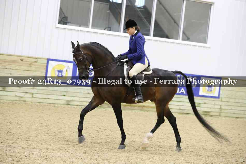 Proof 23R13_07959