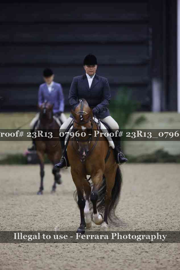 Proof 23R13_07960