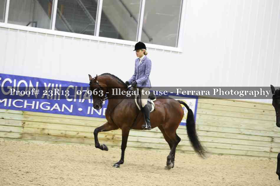 Proof 23R13_07963