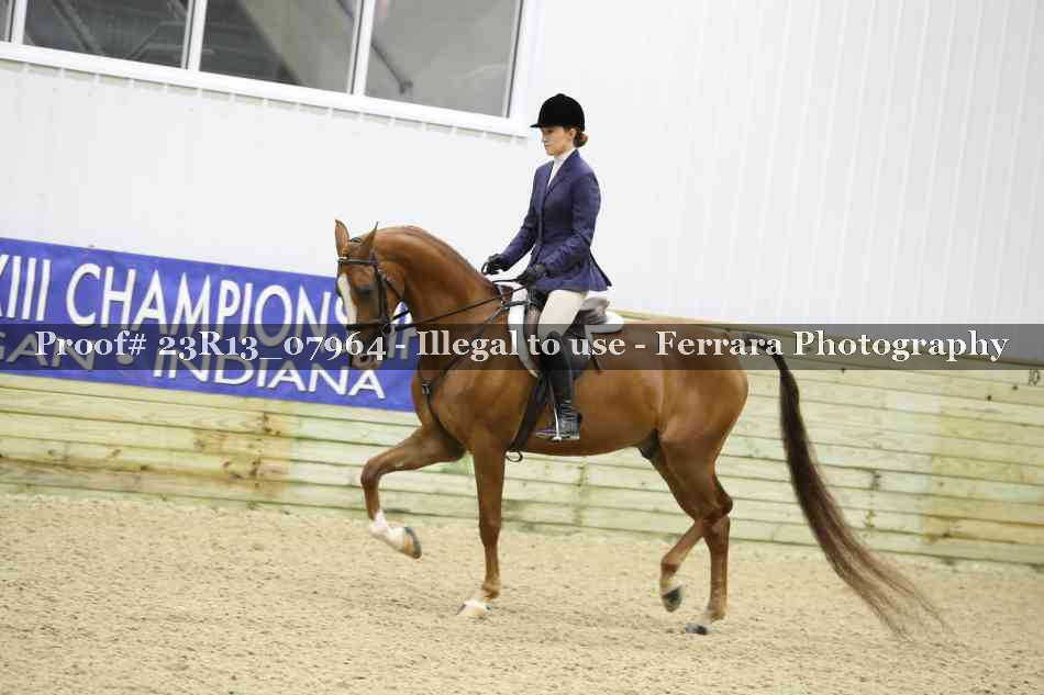 Proof 23R13_07964