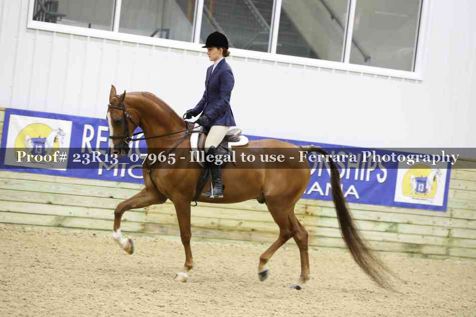 Proof 23R13_07965