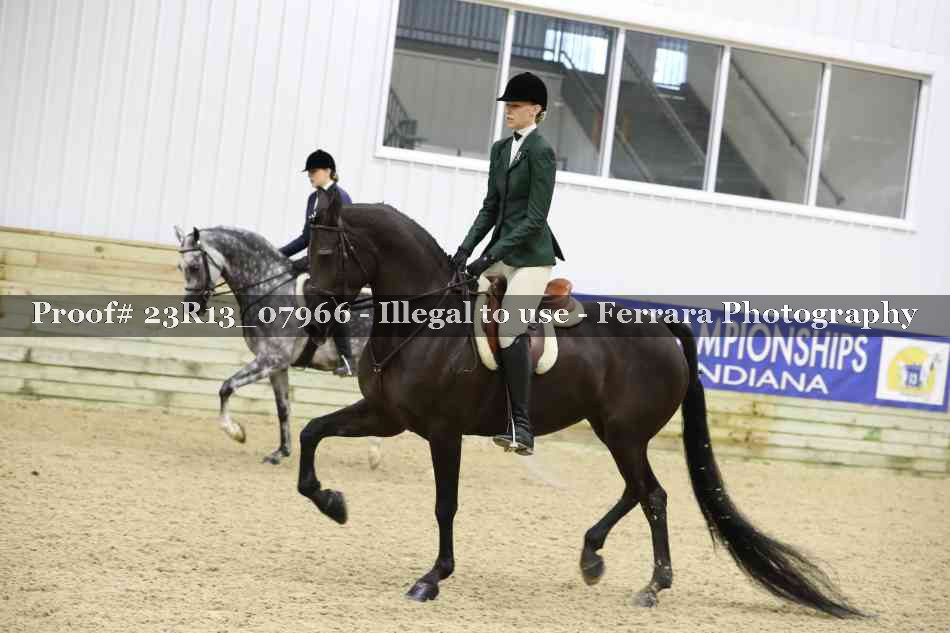 Proof 23R13_07966