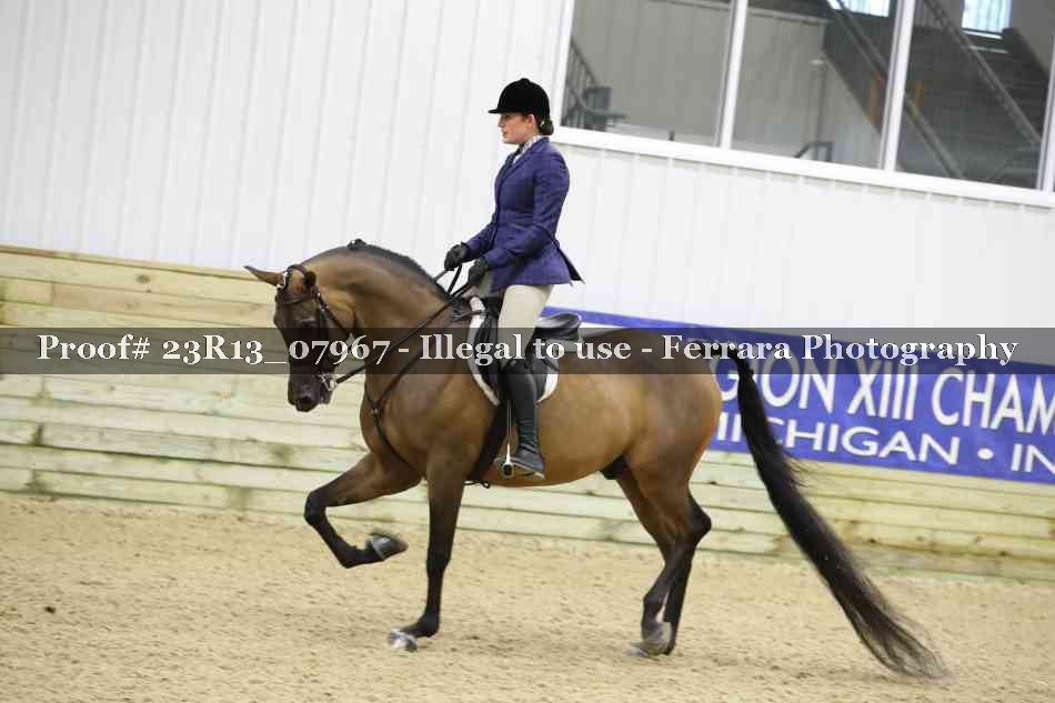 Proof 23R13_07967