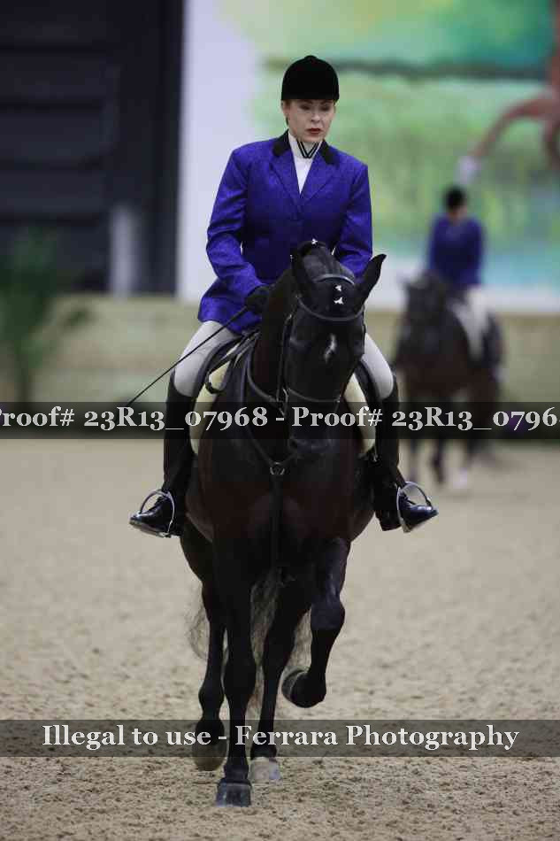 Proof 23R13_07968