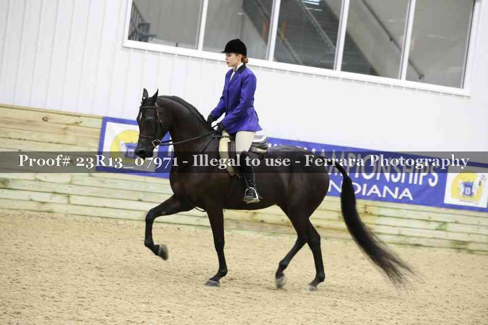 Proof 23R13_07971