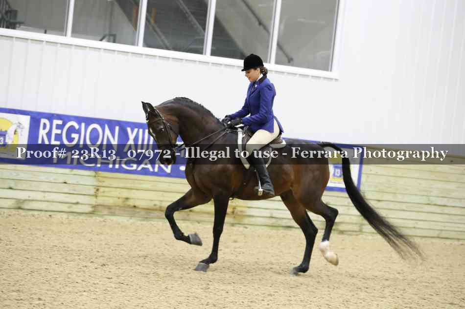 Proof 23R13_07972
