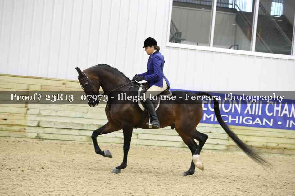 Proof 23R13_07973