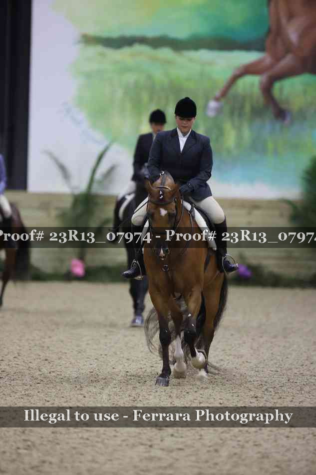 Proof 23R13_07974