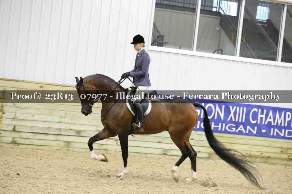 Proof 23R13_07977