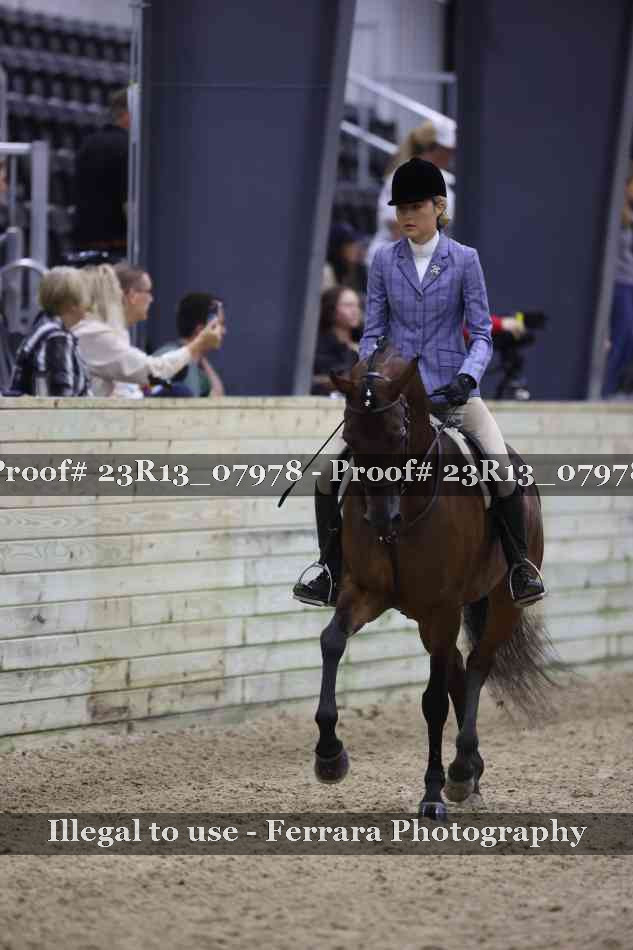 Proof 23R13_07978