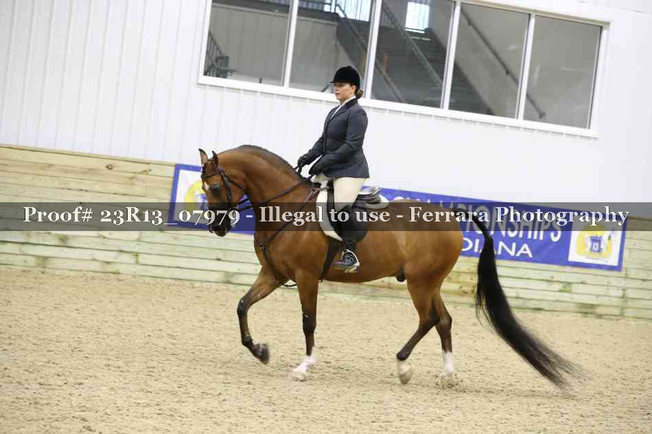 Proof 23R13_07979