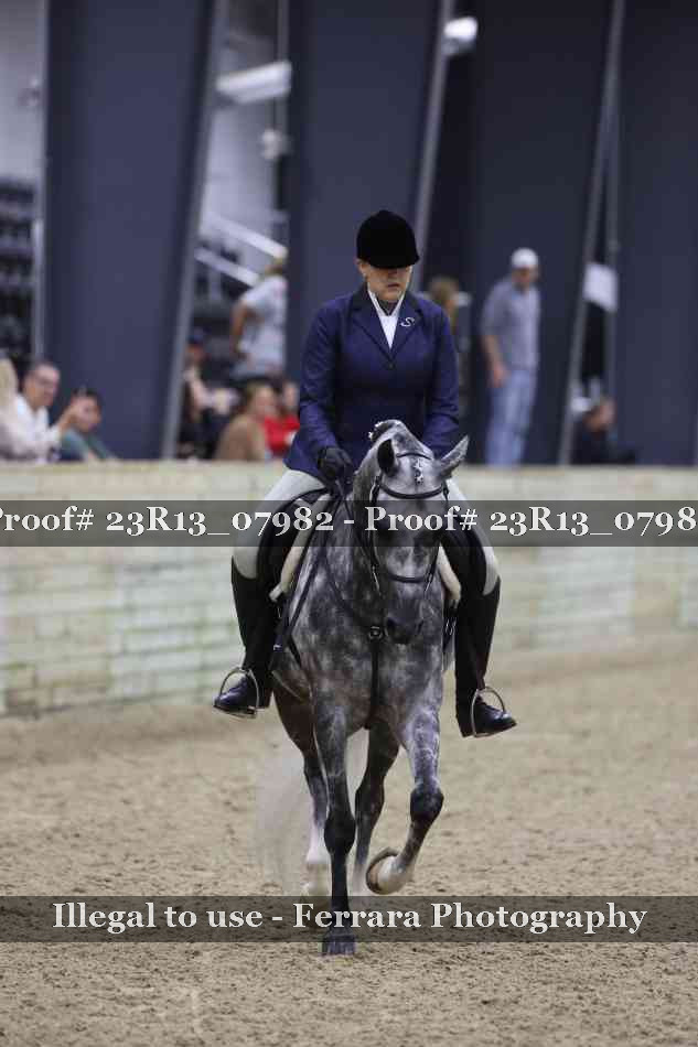Proof 23R13_07982