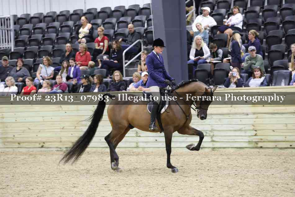 Proof 23R13_07983
