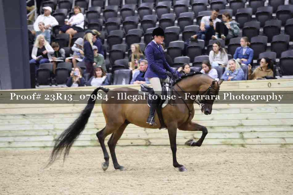 Proof 23R13_07984