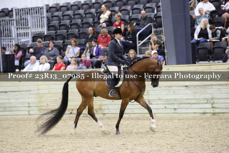 Proof 23R13_07985
