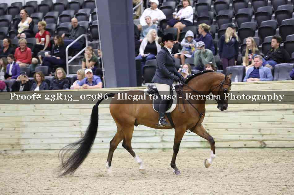 Proof 23R13_07986