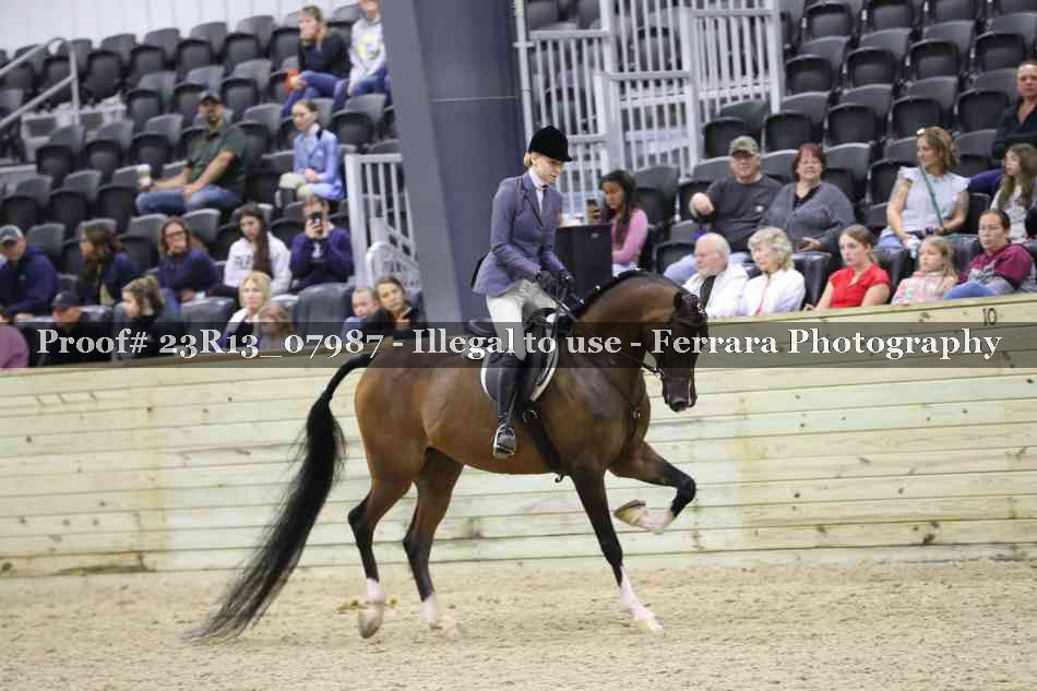 Proof 23R13_07987