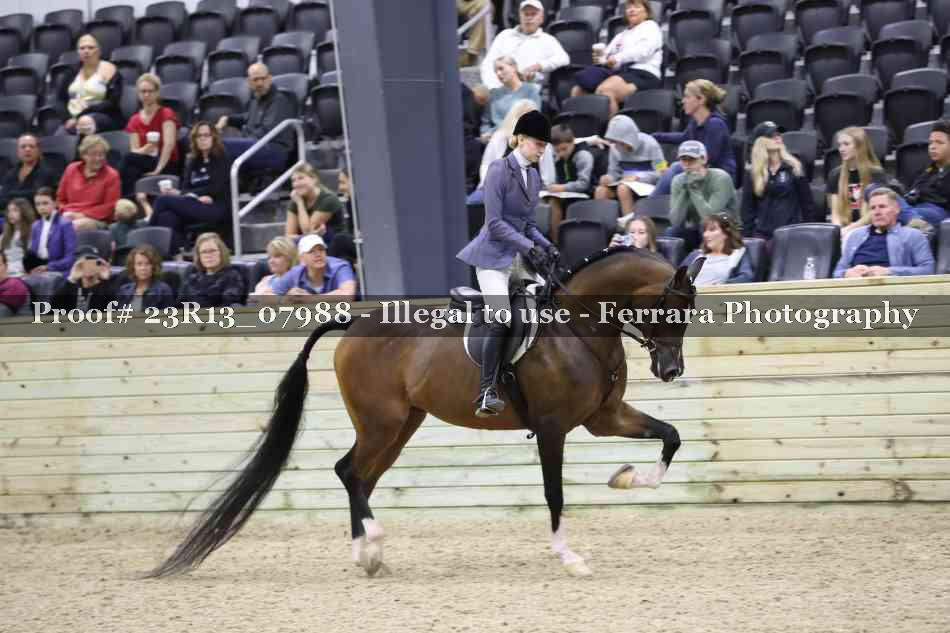 Proof 23R13_07988