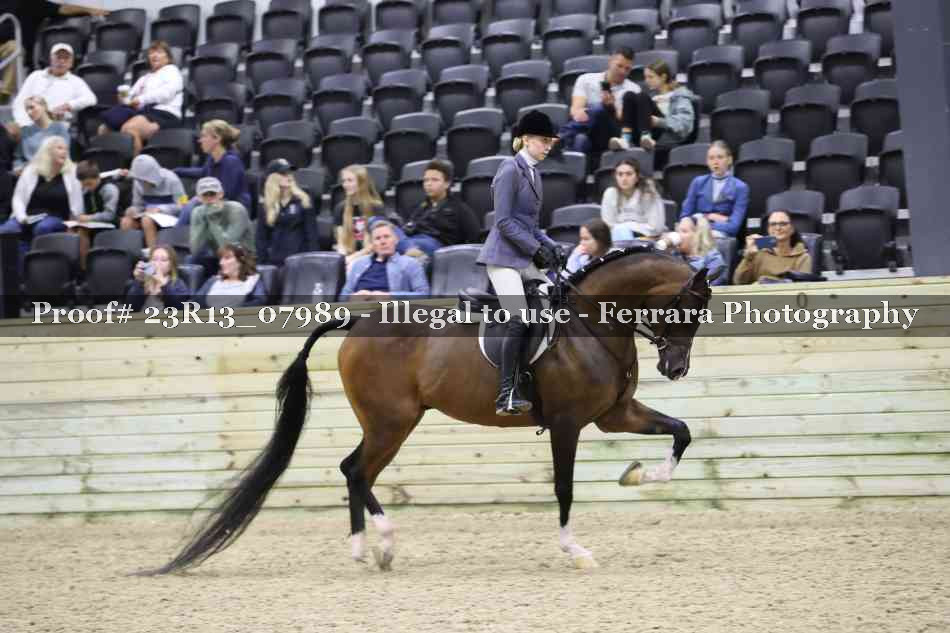 Proof 23R13_07989