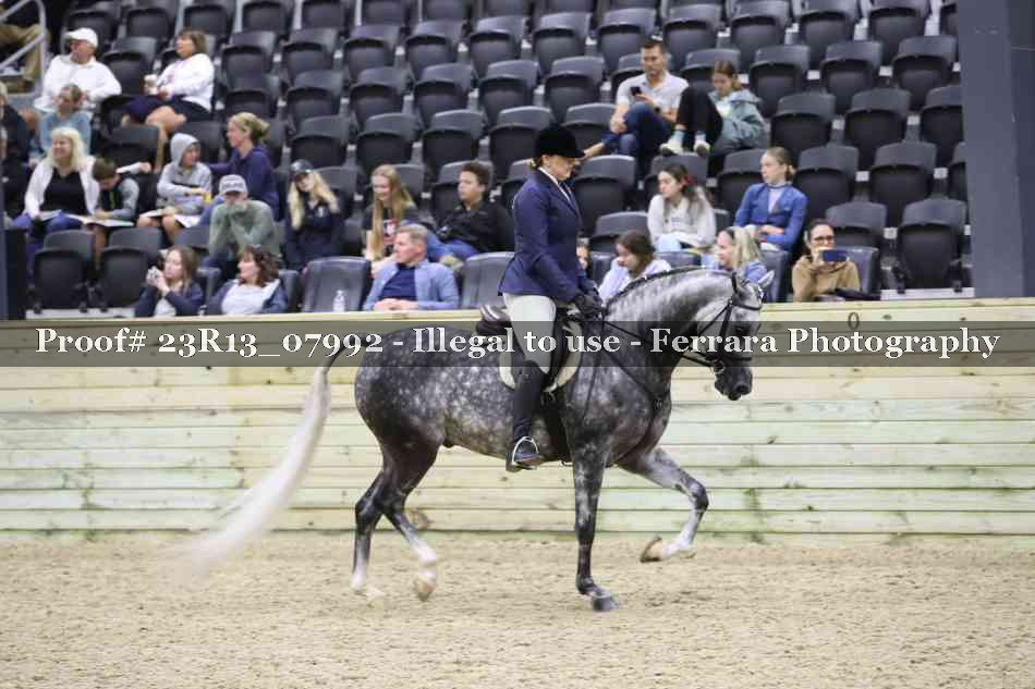 Proof 23R13_07992