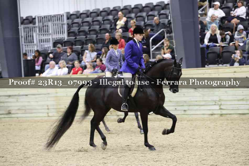 Proof 23R13_07993