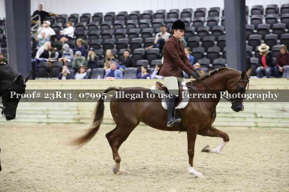 Proof 23R13_07995