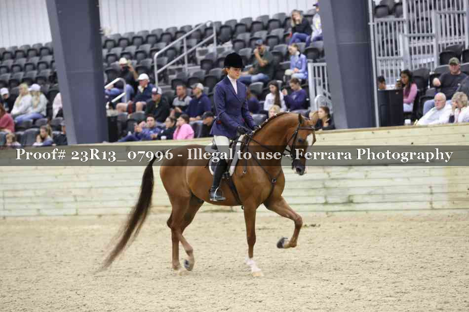 Proof 23R13_07996
