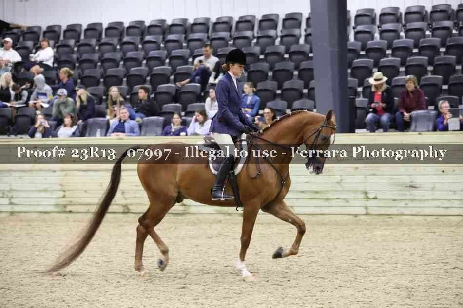 Proof 23R13_07997