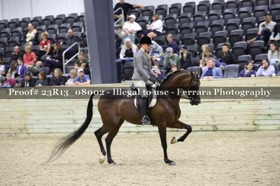 Proof 23R13_08002