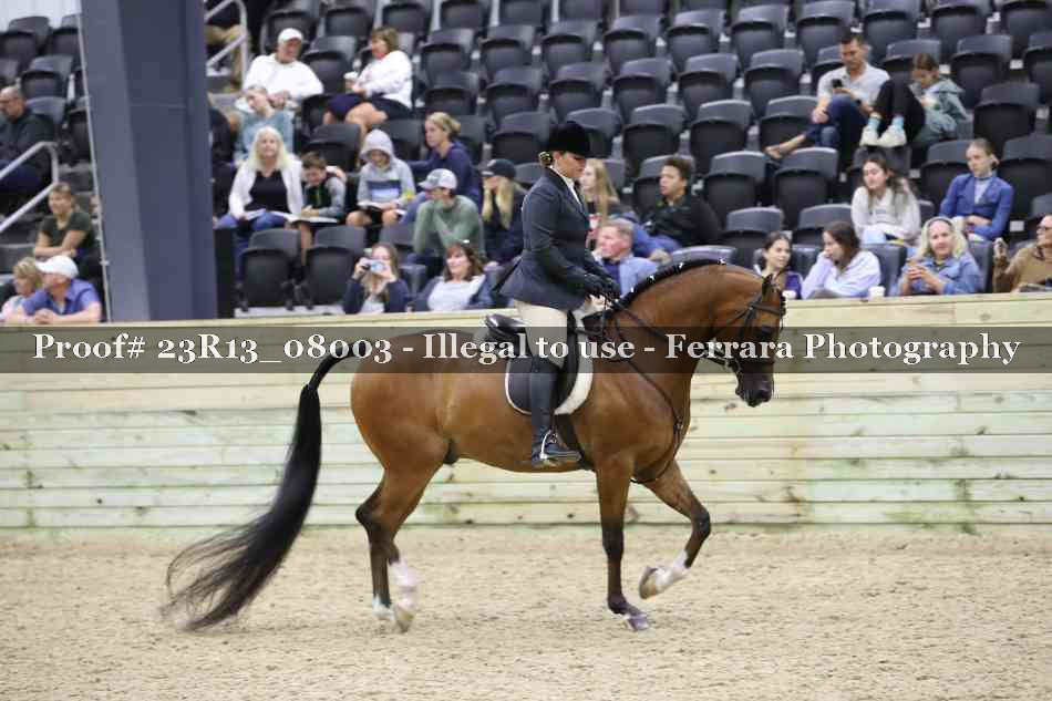 Proof 23R13_08003