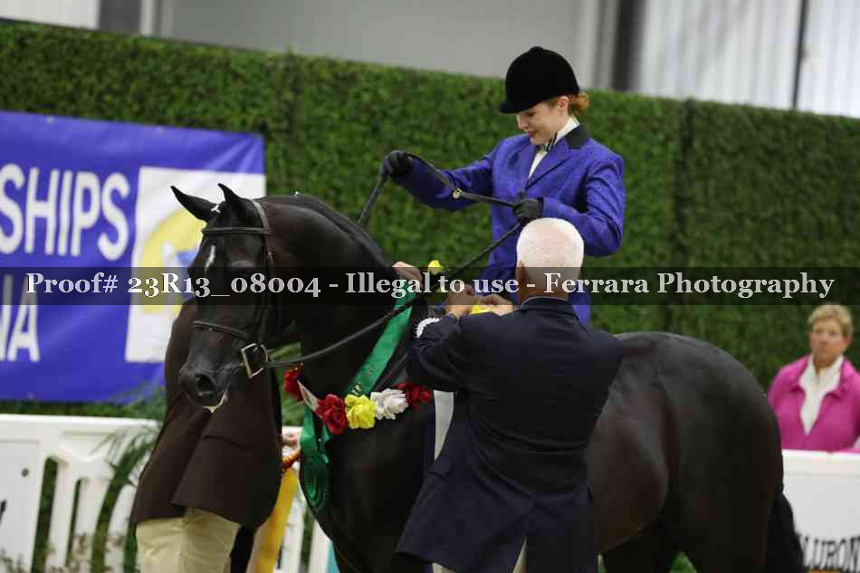 Proof 23R13_08004