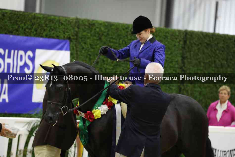 Proof 23R13_08005