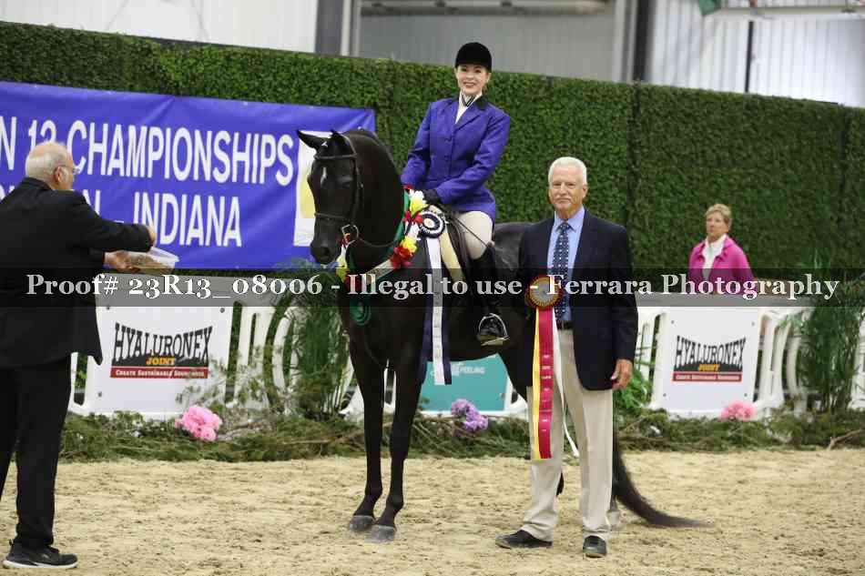 Proof 23R13_08006