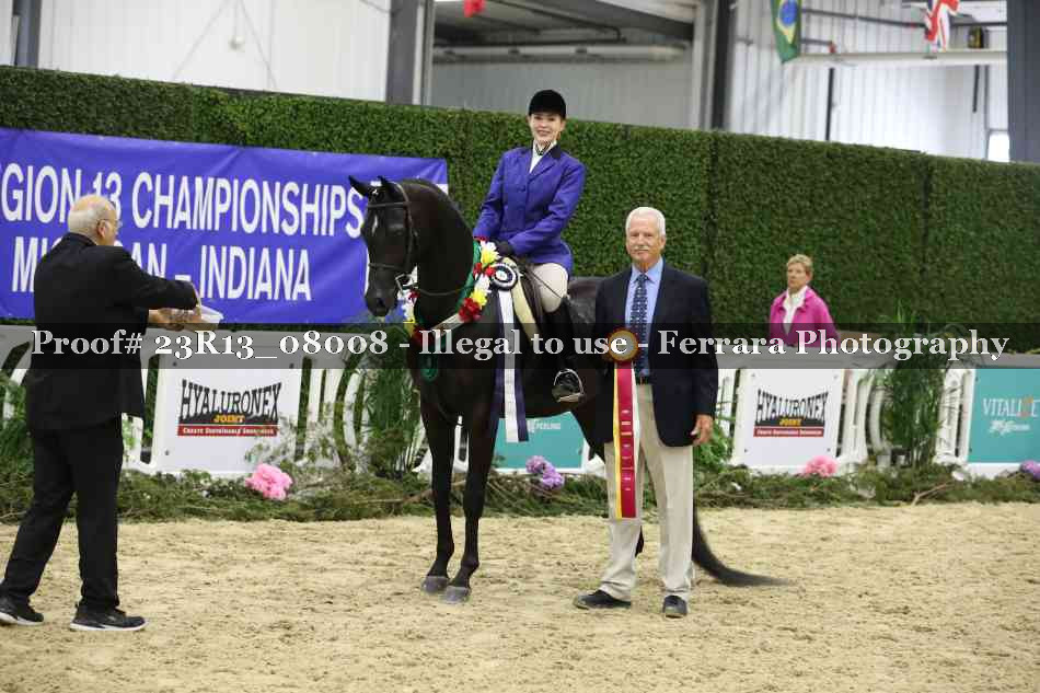 Proof 23R13_08008