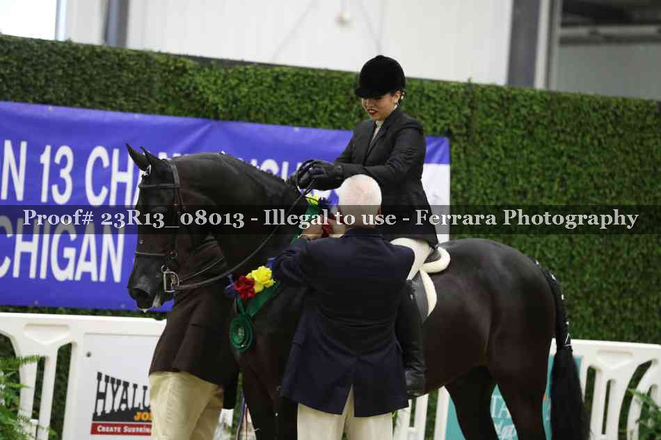 Proof 23R13_08013