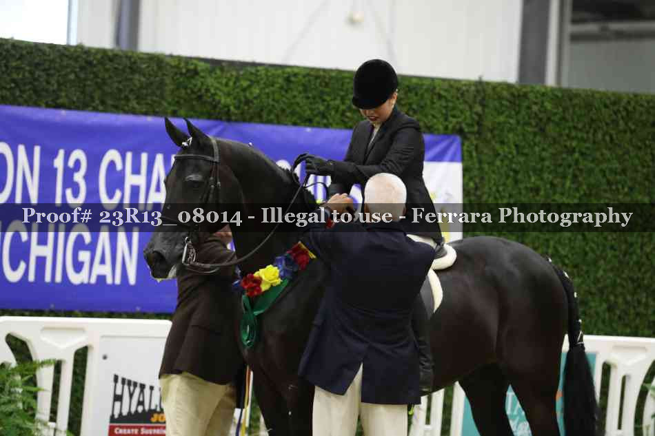 Proof 23R13_08014