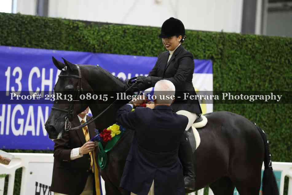 Proof 23R13_08015