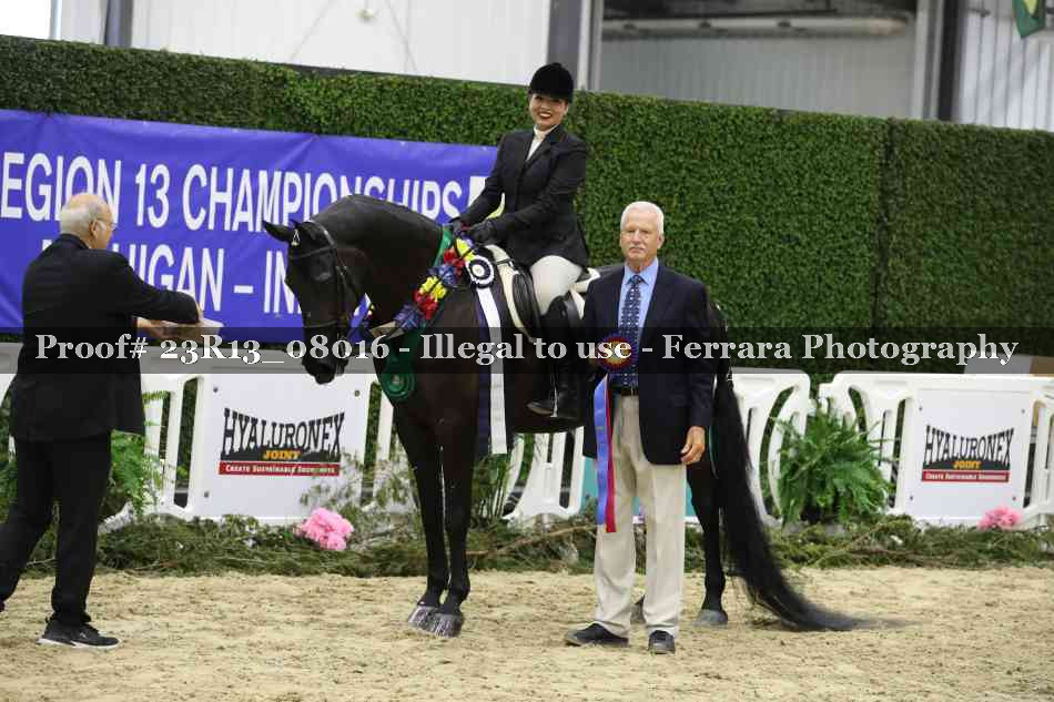 Proof 23R13_08016