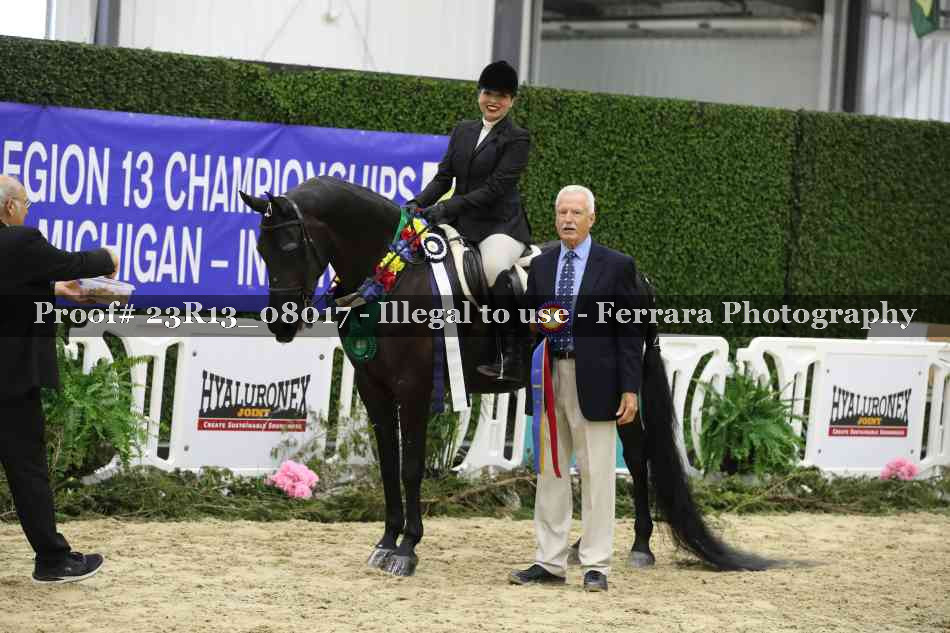 Proof 23R13_08017