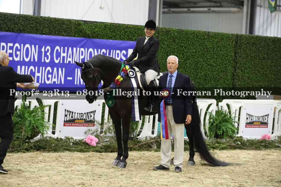 Proof 23R13_08018
