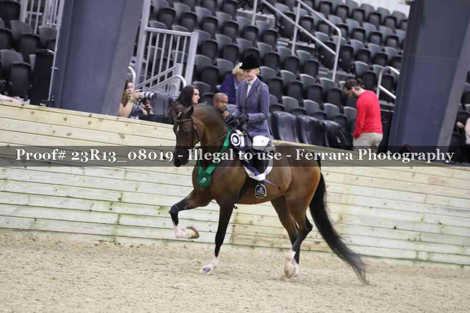 Proof 23R13_08019