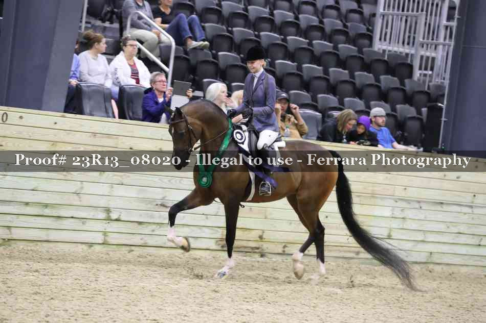 Proof 23R13_08020